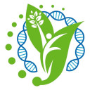 Spero (Dobromed) Hospital 